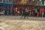 La Dehesilla y José Luis Pereda, los toros del miércoles