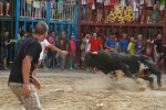 La Dehesilla y José Luis Pereda, los toros del miércoles