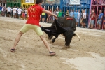 La Dehesilla y José Luis Pereda, los toros del miércoles