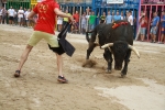 La Dehesilla y José Luis Pereda, los toros del miércoles