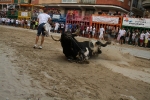 La Dehesilla y José Luis Pereda, los toros del miércoles