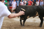 La Dehesilla y José Luis Pereda, los toros del miércoles