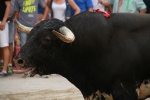 La Dehesilla y José Luis Pereda, los toros del miércoles