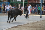 La Dehesilla y José Luis Pereda, los toros del miércoles