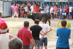 La Dehesilla y José Luis Pereda, los toros del miércoles