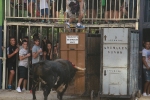 La Dehesilla y José Luis Pereda, los toros del miércoles