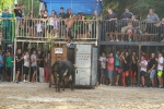 La Dehesilla y José Luis Pereda, los toros del miércoles