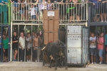 La Dehesilla y José Luis Pereda, los toros del miércoles