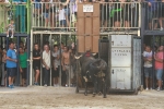 La Dehesilla y José Luis Pereda, los toros del miércoles