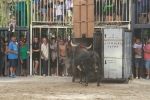 La Dehesilla y José Luis Pereda, los toros del miércoles