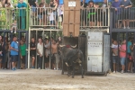La Dehesilla y José Luis Pereda, los toros del miércoles