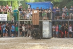 La Dehesilla y José Luis Pereda, los toros del miércoles