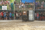 La Dehesilla y José Luis Pereda, los toros del miércoles