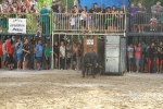 La Dehesilla y José Luis Pereda, los toros del miércoles