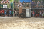 La Dehesilla y José Luis Pereda, los toros del miércoles