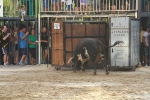 La Dehesilla y José Luis Pereda, los toros del miércoles