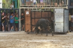 La Dehesilla y José Luis Pereda, los toros del miércoles