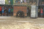 La Dehesilla y José Luis Pereda, los toros del miércoles