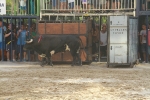 La Dehesilla y José Luis Pereda, los toros del miércoles
