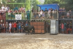 La Dehesilla y José Luis Pereda, los toros del miércoles
