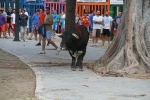 La Dehesilla y José Luis Pereda, los toros del miércoles