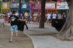 La Dehesilla y José Luis Pereda, los toros del miércoles