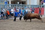 Gran ambiente en el recinto de la vila del bou