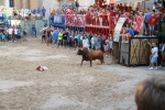 'El calor agota a los toros en 25 minutos'