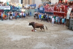 'El calor agota a los toros en 25 minutos'