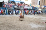 'El calor agota a los toros en 25 minutos'