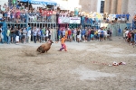 'El calor agota a los toros en 25 minutos'