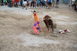'El calor agota a los toros en 25 minutos'