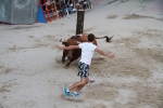 'El calor agota a los toros en 25 minutos'