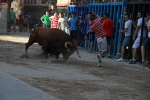 'El calor agota a los toros en 25 minutos'