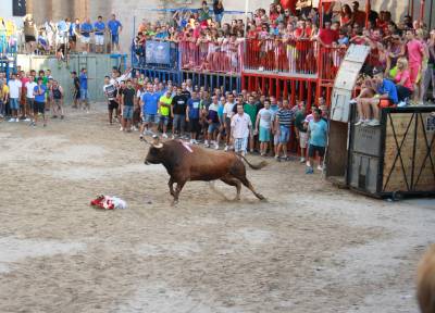 Fotografia /Galeria/2014/9/111099_59763/5_M1.jpg