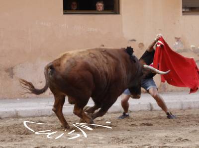 Fotografia /Galeria/2014/9/111229_59844/2_M1.jpg