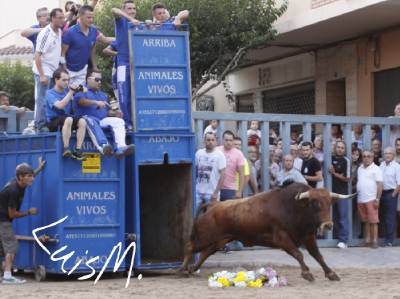 Fotografia /Galeria/2014/9/111229_59844/3_M1.jpg