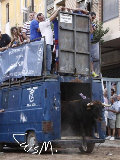 Fotografia /Galeria/2014/9/111229_59844/5_M1.jpg