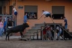 Punto y final a las exhibiciones taurinas