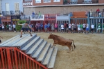 La Vilavella retoma las exhibiciones taurinas con las tardes de vaquillas