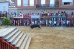 La Vilavella retoma las exhibiciones taurinas con las tardes de vaquillas