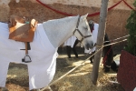 La Feria Medieval de Mascarell cierra la jornada del sa´bado con una alta presencia de visitantes