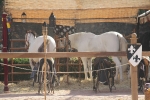 La Feria Medieval de Mascarell cierra la jornada del sa´bado con una alta presencia de visitantes