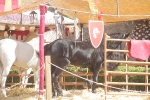 La Feria Medieval de Mascarell cierra la jornada del sa´bado con una alta presencia de visitantes