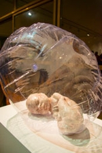 Fotografia /Galeria/2015/11/135508_74221/2_M1.jpg