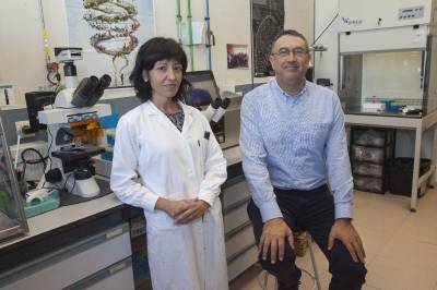 La UJI patenta nuevos compuestos anticancergenos de baja toxicidad que pueden disminuir los efectos secundarios de la quimioterapia