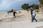 Benicàssim comienza el acondicionamiento y regeneración anual de sus playas