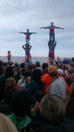 175.000 castellonenses cumplen con la tradicional Romeria de les canyes