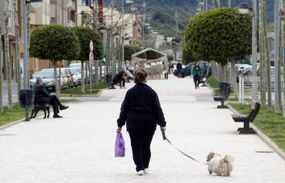 El PP Onda propone censar a todos los perros para mantener la ciudad ms limpia