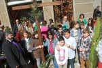 Gran participación en el Domingo de Ramos